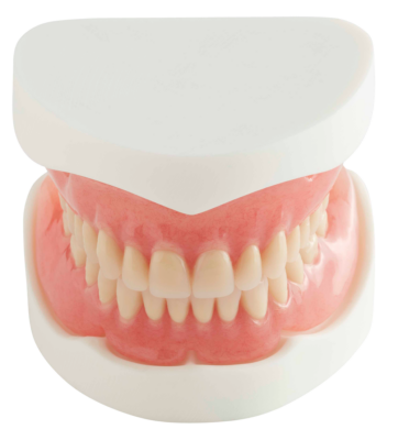 Quest Full Acrylic Denture