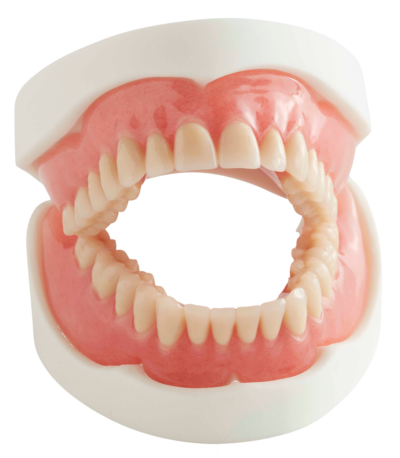 Full Acrylic Dentures