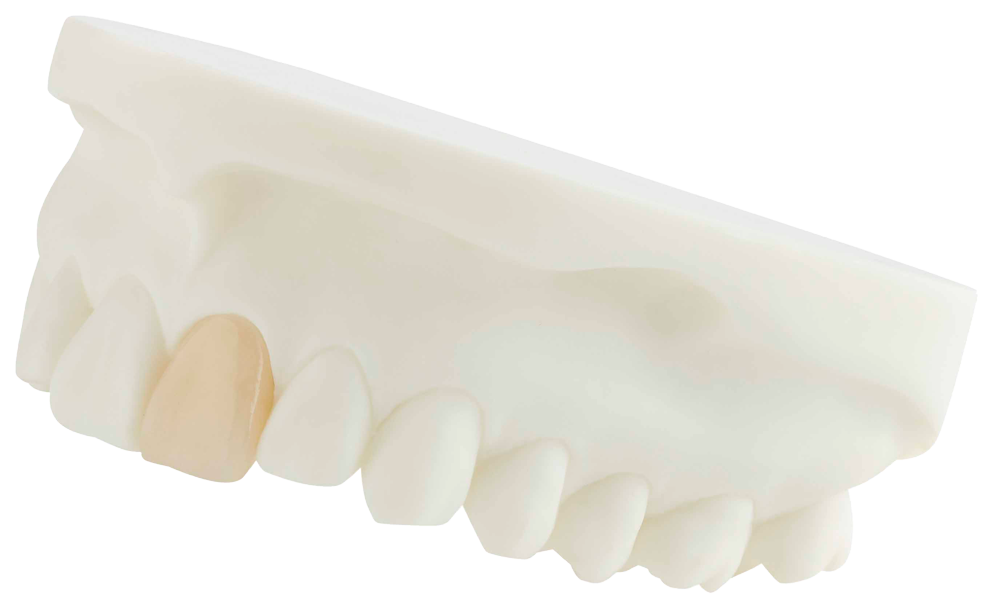 New Zealand’s leading fullservice dental lab Southern Cross Dental